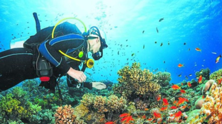 Un turista practica buceo en Roatán, Honduras.