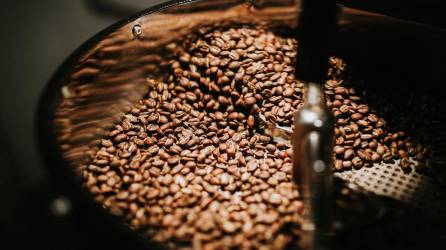 Una experiencia en Finca Santa Isabel, conoce el proceso del café en un entorno de biodiversidad única.