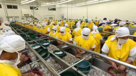 México bloqueó desde el pasado 24 de enero el mercado del camarón desde Honduras.