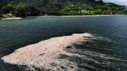 El río Motagua arrastra basura que se disemina por toda la costa caribeña de Honduras.