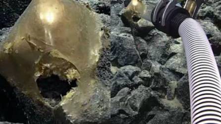 Un grupo de científicos quienes exploraban las profundidades del mar de Alaska encontraron un misterioso “huevo dorado”. Aquí las fotografías.