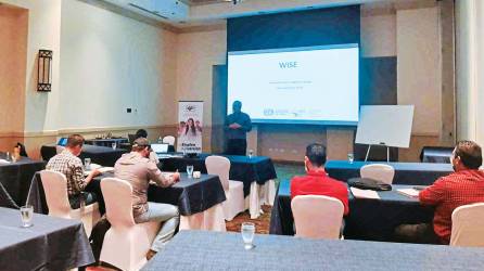 Por tres días tuvo lugar en un hotel capitalino la capacitación y curso presencial de formación a formadores en el programa WISE auspiciado por el Cohep.