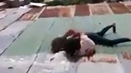 Al estilo gato: Dos mujeres se van a golpes en el techo