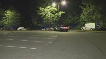 Los menores fueron hallados con heridas de bala en un auto en un parque del condado de Gwinnett.
