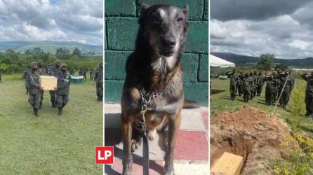 Los perros son una parte importante de los cuerpos de seguridad del Estado de Honduras, por esa razón, cuando uno de ellos fallece, es despedido con honores por sus compañeros de trabajo.
