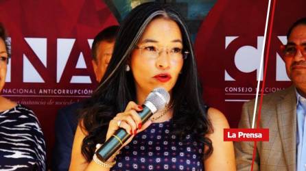 La entidad tituló el informe como “La ilusión solidaria del Bonosupro”. En imagen, Gabriela Castellanos, titular del CNA.