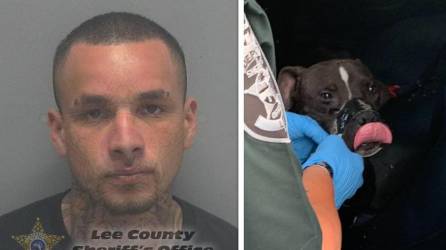 El latino Emérito Márquez, de 25 años, fue arrestado por crueldad animal tras abandonar a un perro en una autopista de Florida.