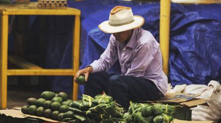 Un hombre vende aguacates en un mercado, el 3 de noviembre de 2023, en Tegucigalpa (Honduras).