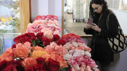 Una mujer toma una foto a varios arreglos de rosas cultivadas en Colombia.