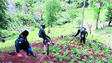 Guardabosques realizan monitoreo en la zona de reserva