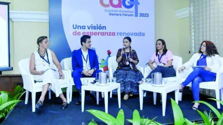 <b>Representantes de Odef participaron en un encuentro en Costa Rica para promover el proyecto.</b>