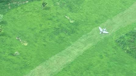 Foto de la avioneta que supuestamente transportaba droga.