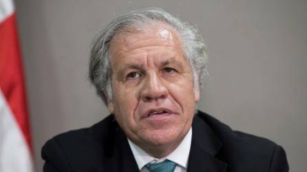 Luis Almagro, secretario general de la OEA. Fotografía: EFE