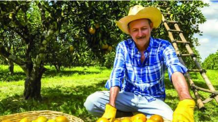 La producción de naranjas en Honduras cayó en los últimos años. Pasando de producir entre 250,000 y 300,000 toneladas métricas a principios de los 2000 a 100,000 en la actualidad.