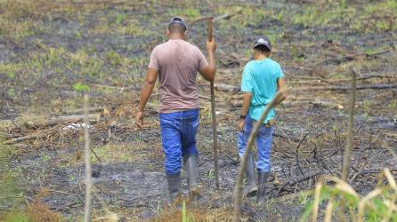 El 2023 es un año de transición entre los fenómenos de la niña y el niño. Fotos Moisés Valenzuela.