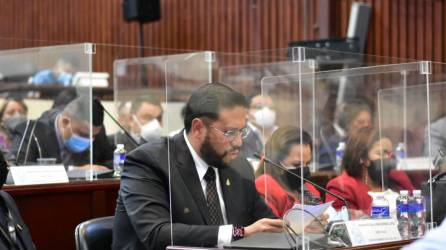 Diputado Mauricio Rivera en el Congreso Nacional.