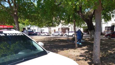 Fotografía del 4 de agosto de 2023, que muestra a peritos periciales, policías municipales en el levantamiento de un cuerpo en situación de calle en un parque de la ciudad de Hermosillo, Sonora (México). EFE/Daniel Sánchez.