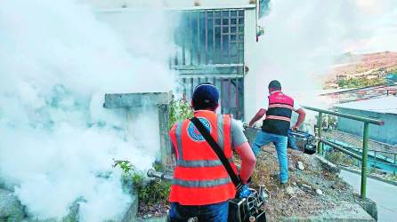 Piden a ciudadanos eliminar criaderos en sus hogares.