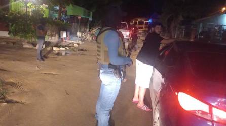 Agentes de la Policía inspeccionan un vehículo y a su conductor.