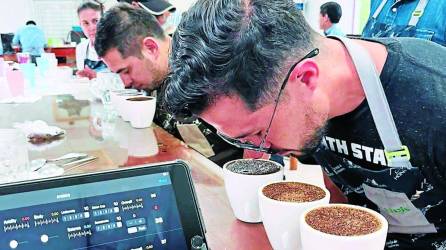 Las muestras del aromático son evaluadas por jurados nacionales e internacionales. Foto: La Prensa