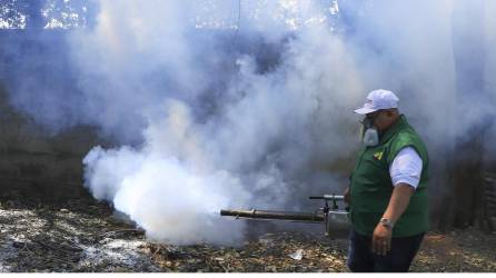 Municipalidad de San Pedro Sula, que dirige el alcalde Roberto Contreras, impulsa campaña contra el dengue