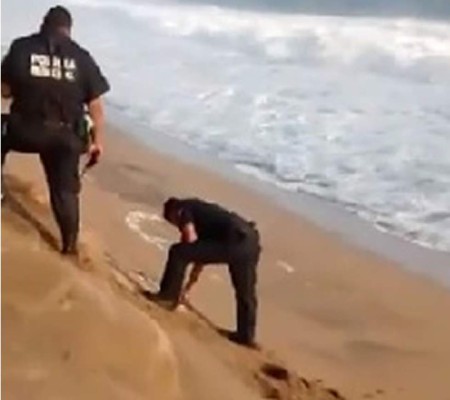 Video: Despiden a policías mexicanos tras ser captados tirando huevos de tortuga al mar