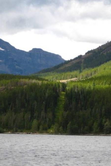 En tanto, la frontera norte de EUA y Canadá carece de la extrema seguridad que se pretende implementar en la del Sur. Una frontera natural dividida por bosques, que es también la más larga del mundo.