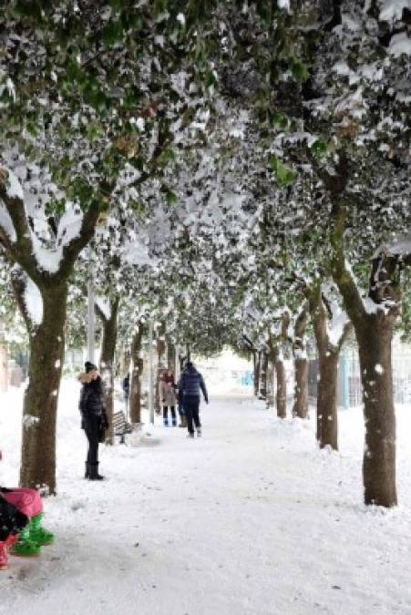 En Italia, al menos siete personas murieron en las últimas 48 horas, cinco de ellas sin techo que se encontraban en la calle pese a las medidas preventivas adoptadas por las autoridades.