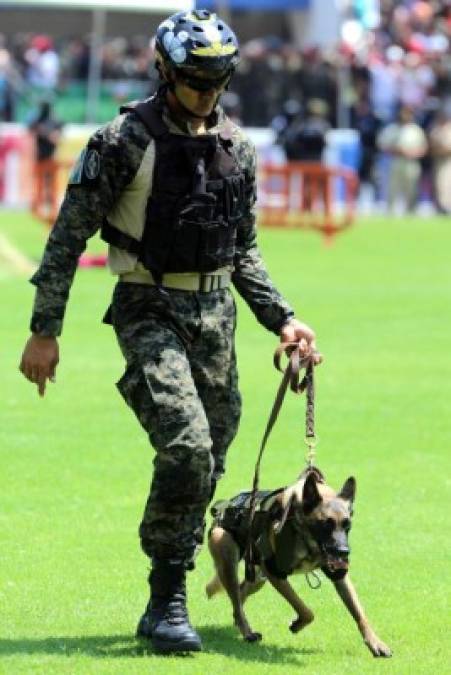 Un militar con un perro entrenado para combatir el crimen.