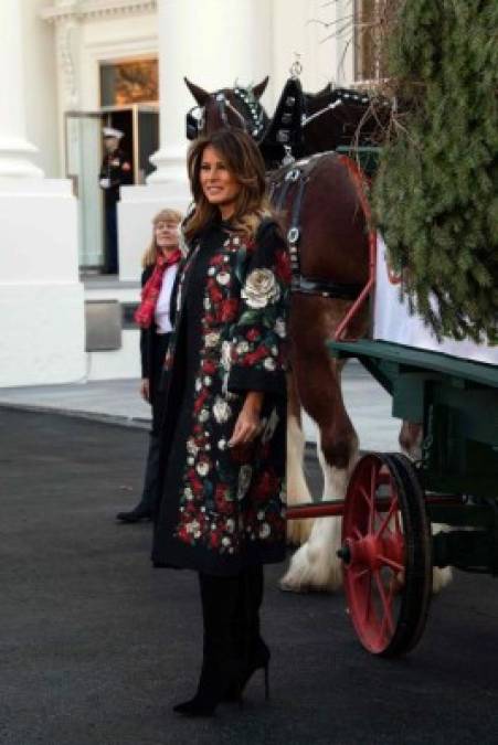 US First Lady Melania Trump receives the White House Christmas tree at the White House in Washington, DC, on November 25, 2019. (Photo by NICHOLAS KAMM / AFP)
