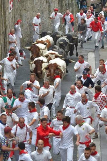 Los seis toros y seis cabestros se mantuvieron unidos durante la carrera en las estrechas y adoquinadas calles de Pamplona, abriéndose paso entre cientos de corredores vestidos en su mayoría con la camiseta blanca y el pañuelo rojo tradicionales de las fiestas de San Fermín.