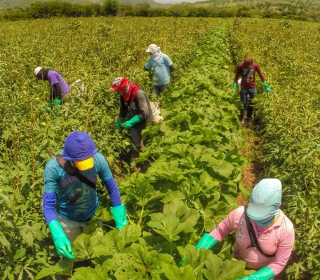 Buscan mejorar oferta agrícola exportable