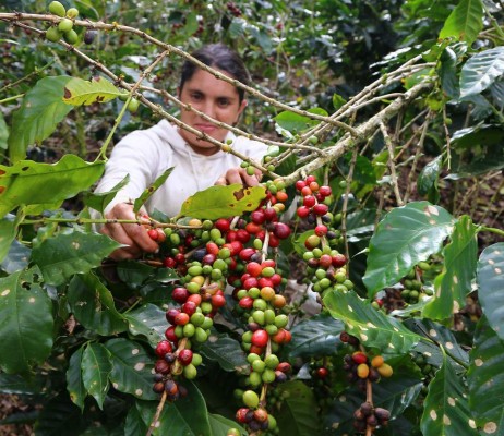 Foto: La Prensa