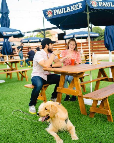 En Ketchup tu perrito podrá descansar y socializar con otros canes mientras tu conversas con tus amigos y disfrutas tu bebida favorita o ves un partido de fútbol.