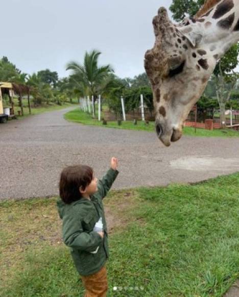 Su pequeño hijo también se mostraba alegre y emocionado a conocer a los animales del zoo. En esta foto se ve junto a la jirafa 'Big Boy'.