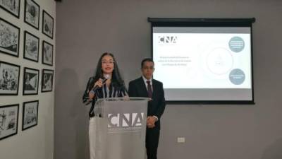 Conferencia de prensa durante la cual Gabriela Castellanos, directora del CNA, ofrecía los detalles sobre las líneas de investigación presentadas este lunes.