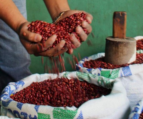 Llega a Honduras barco cargado con frijol procedente de Etiopía