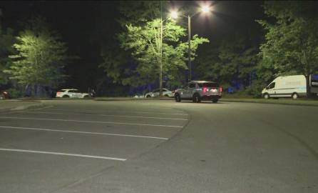 Los menores fueron hallados con heridas de bala en un auto en un parque del condado de Gwinnett.