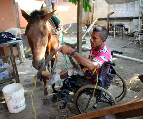 Maneja carreta de caballos desde una silla de ruedas