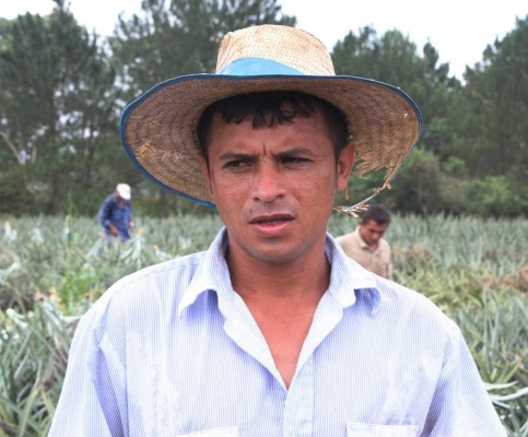 Honduras: Campesinos de Santa Cruz abrirán fábrica de envasado de jalea de piña