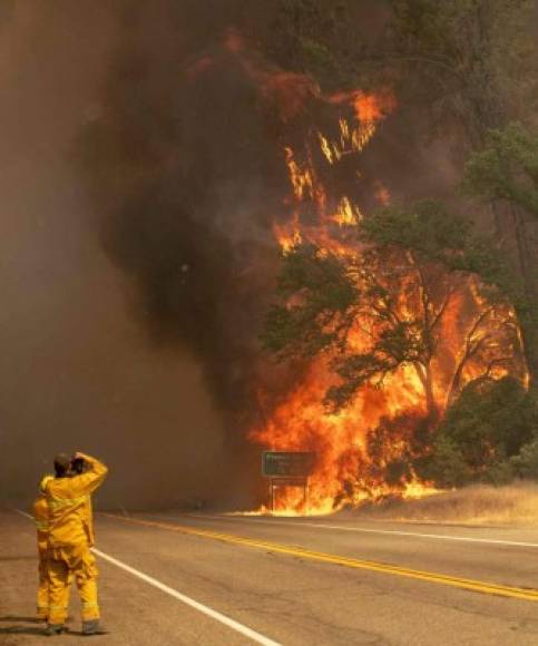 El bombero Brian Hughes murió el domingo mientras luchaba contra el incendio de Ferguson, activo cerca del Parque Nacional de Yosemite. Hughes fue sorprendido por la caída de un árbol mientras combatía el incendio, informó el Servicio de Parques Nacionales de Sequoia y Kings Canyon.