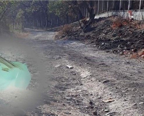 Tegucigalpa: Hallan a una persona muerta dentro de un saco