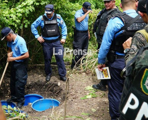 Enterrada hallan 350 libras de marihuana y cuatro fusiles