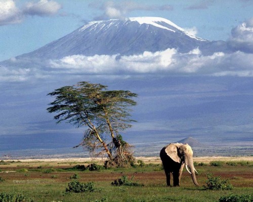 Roger Espinoza y su travesía de inicio de año en las montañas de Tanzania