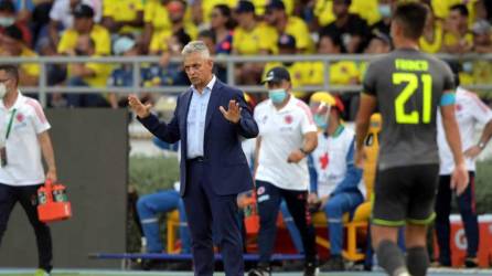 Reinaldo Rueda durante el partido contra Ecuador.