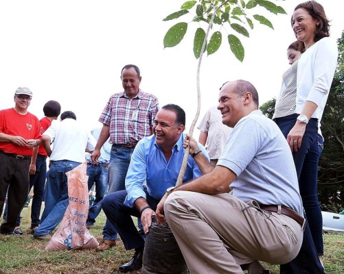 Unos 80 mil árboles plantarán en El Merendón