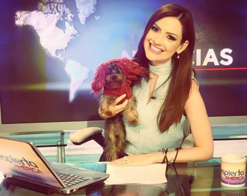 Michelle Galván sustituye a Bárbara Bermudo en Primer Impacto