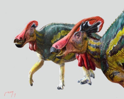 Paleontólogos descubren rara especie de dinosaurio que vivió hace 72 millones de años