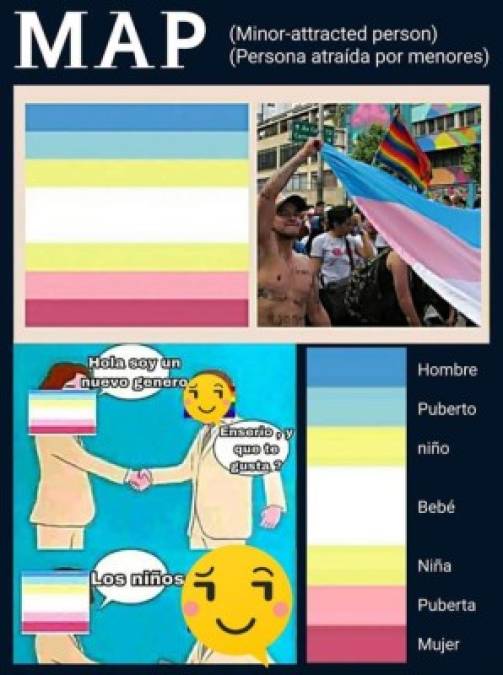 Según los MAP se consideran otro género sexual, y su bandera es similar a la del orgullo gay tratando se engancharse en ese tren de la diversidad.