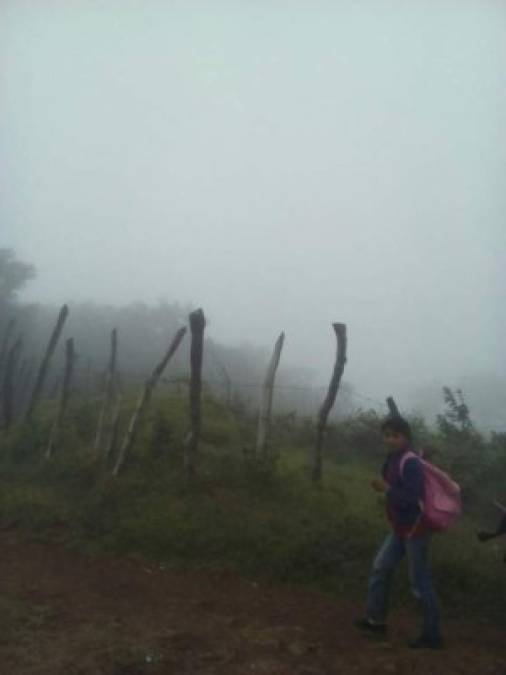 Las lluvias continuarán en la zona norte de Honduras durante los próximos días. El Centro de Estudios Atmosféricos, Oceanográficos y Sísmicos (Cenaos) de la Comisión Permanente de Contingencias (Copeco) confirmó el ingreso al país de una cuña de alta presión que va a interactuar con un sistema de baja presión en las costas del Caribe, lo que va a provocar abundante nubosidad y precipitaciones en esta región del país para hoy y el fin de semana.